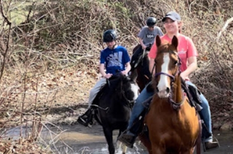 Jordan Hollow Stables